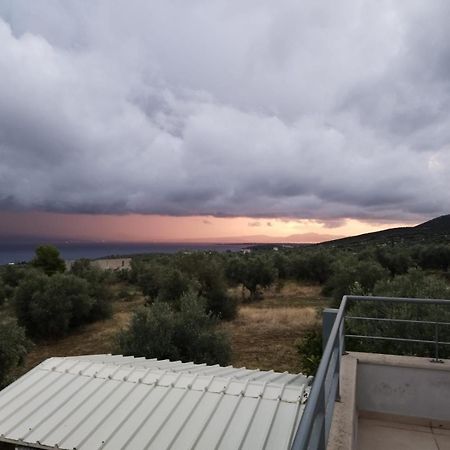 Panoramic View Summerhouse Loukissia Esterno foto